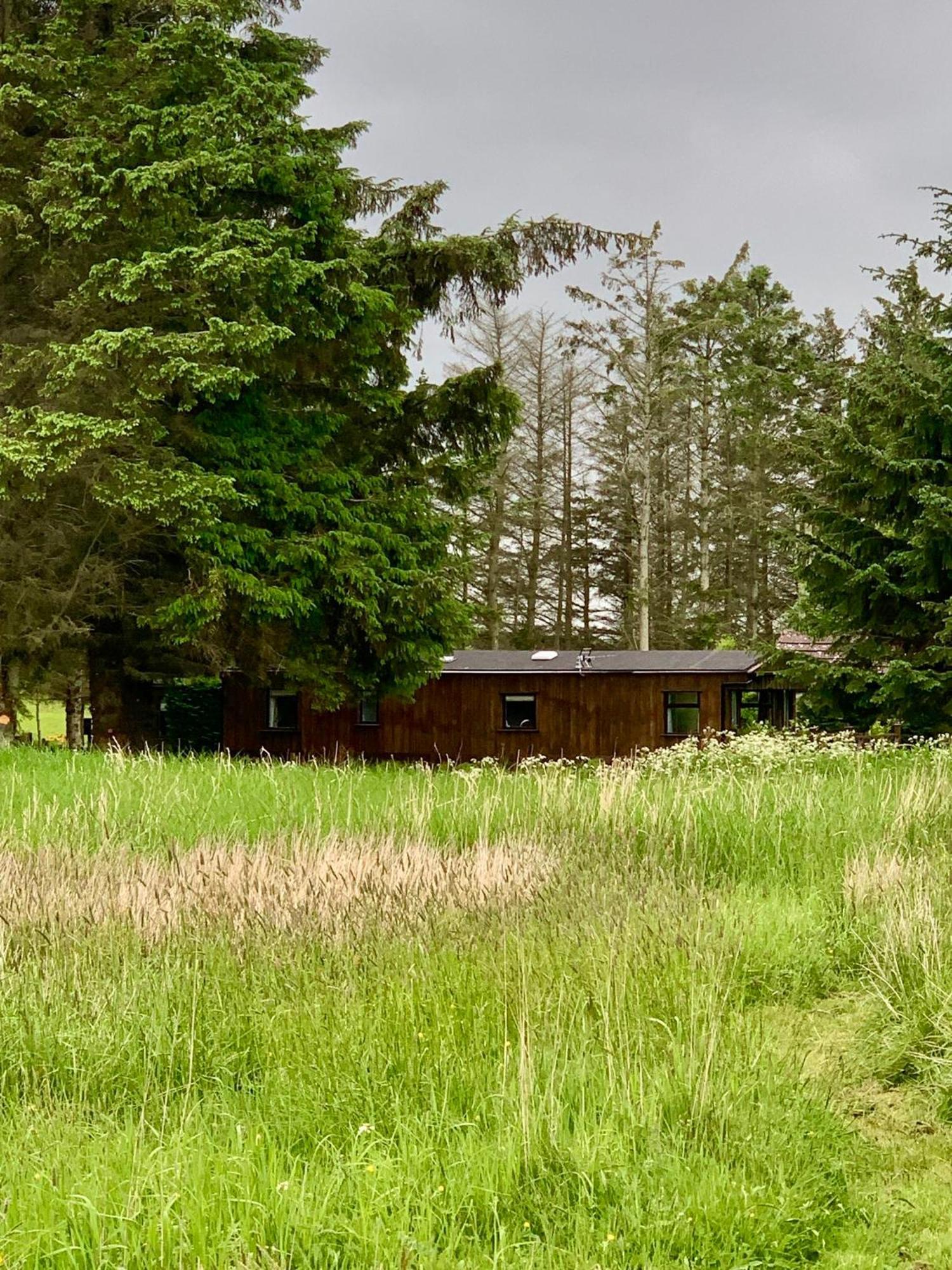 Lodge Celtic